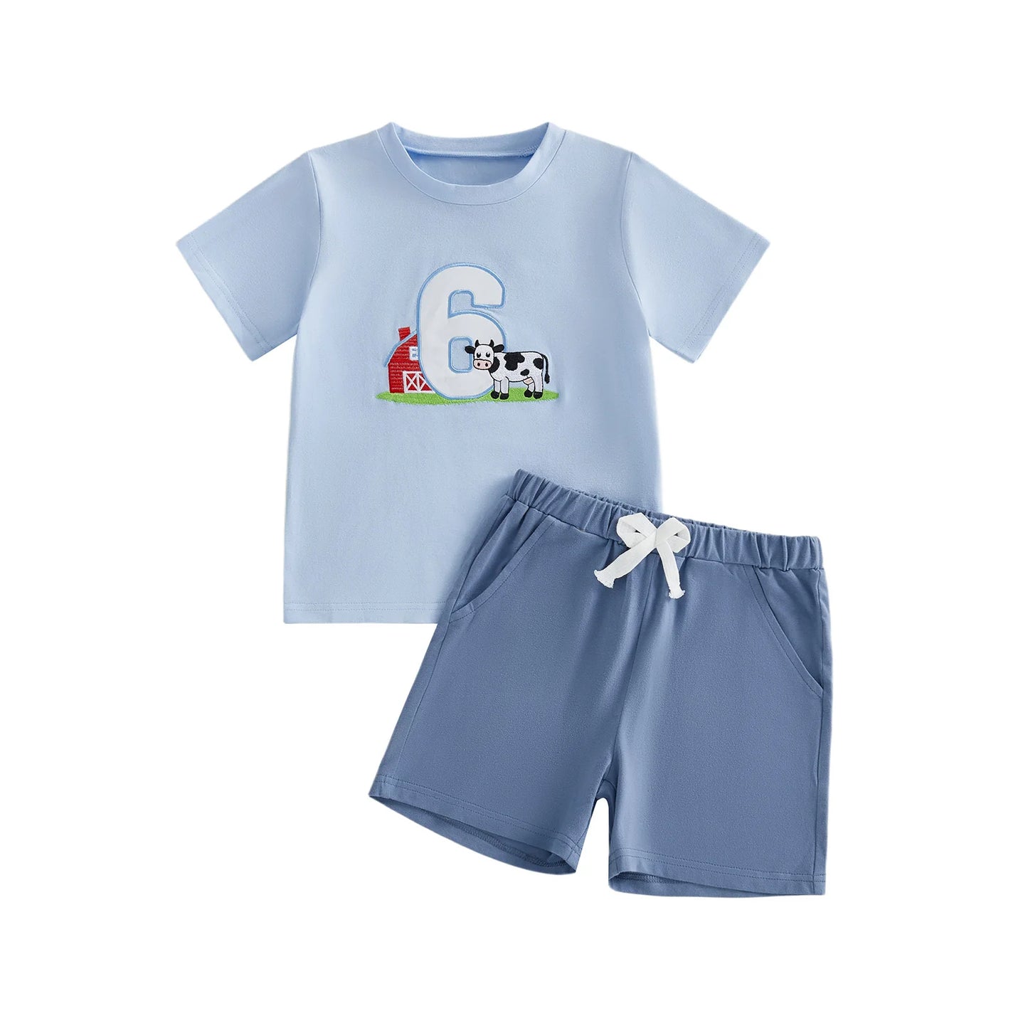 NONECN Toddler Girls Embroidered Horse Birthday Shirt And Pants Set