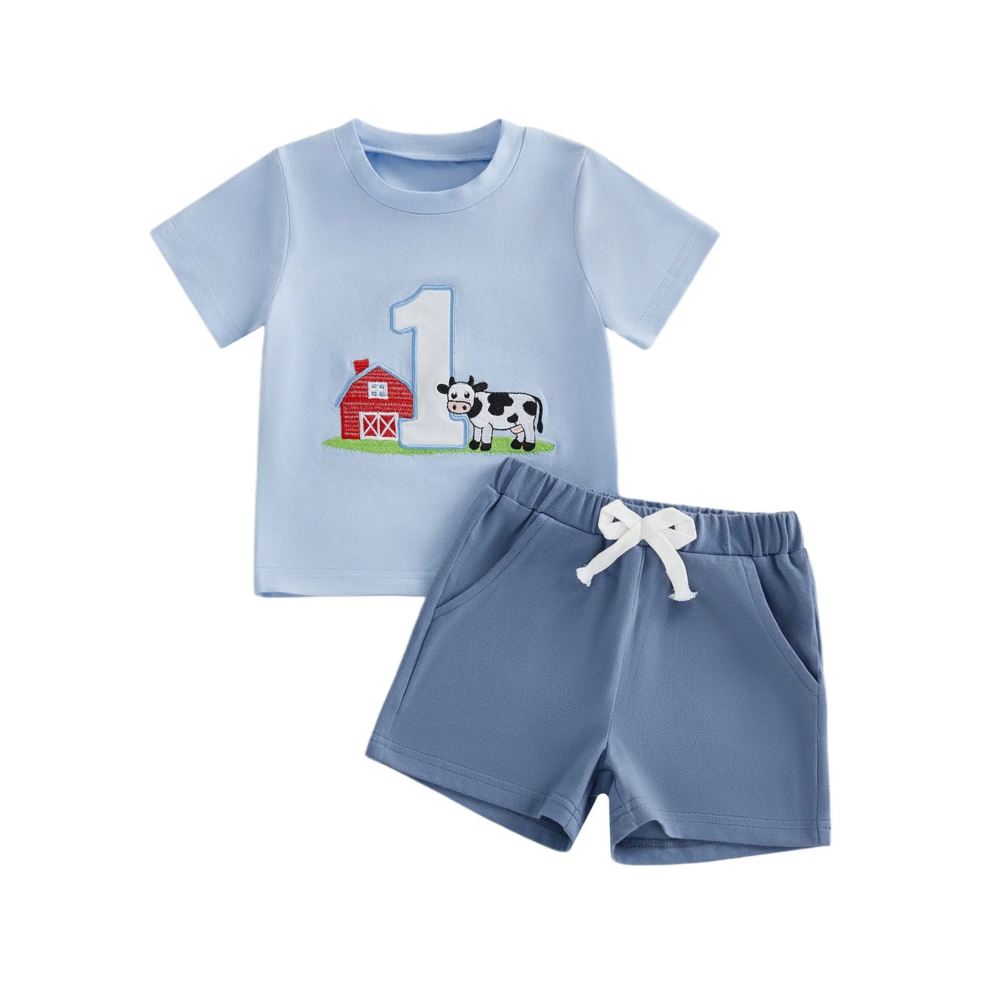 NONECN Toddler Girls Embroidered Horse Birthday Shirt And Pants Set