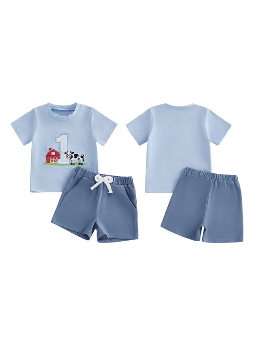 NONECN Toddler Girls Embroidered Horse Birthday Shirt And Pants Set