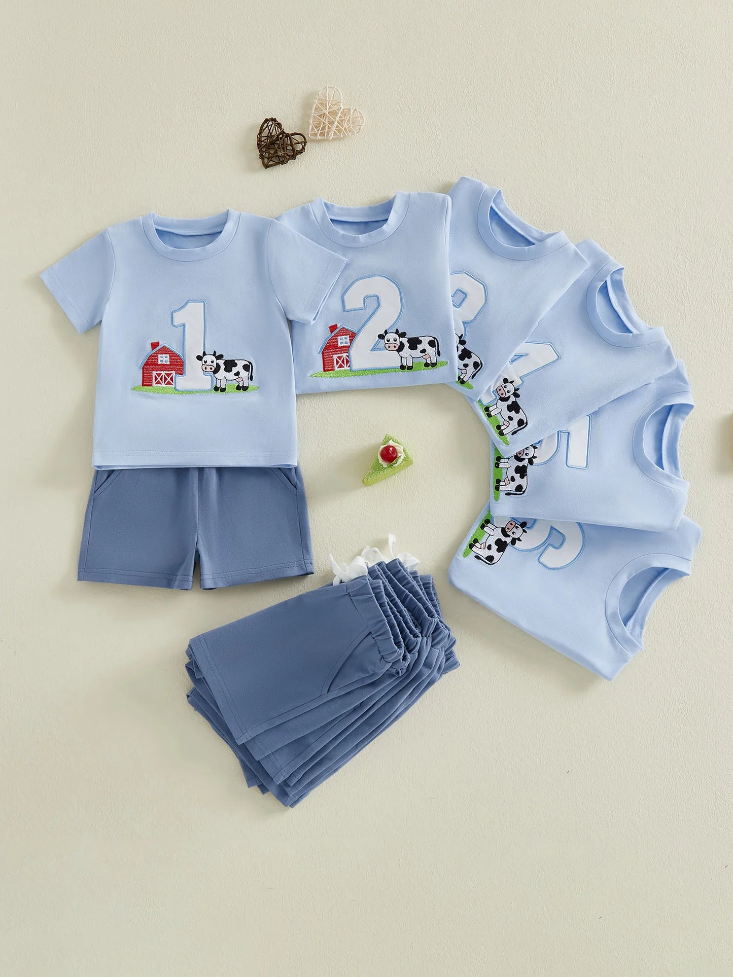 NONECN Toddler Girls Embroidered Horse Birthday Shirt And Pants Set