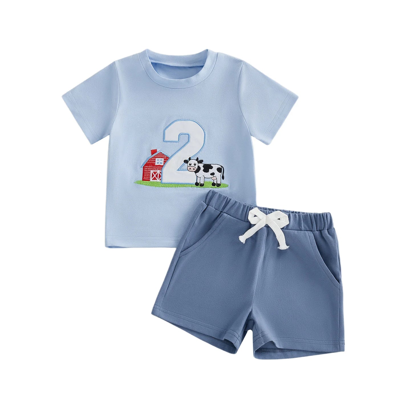 NONECN Toddler Girls Embroidered Horse Birthday Shirt And Pants Set