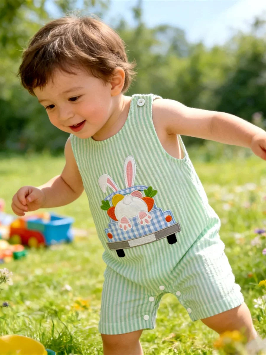 Cotton Embroidered Baby Romper With Button Up Collar