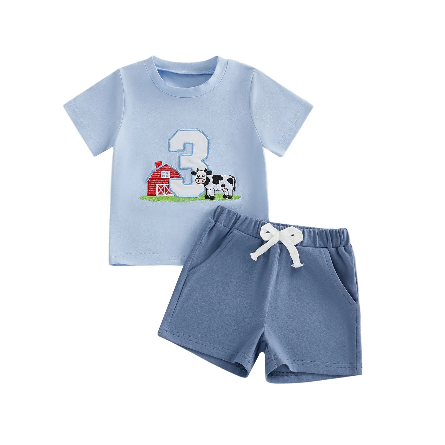 NONECN Toddler Girls Embroidered Horse Birthday Shirt And Pants Set